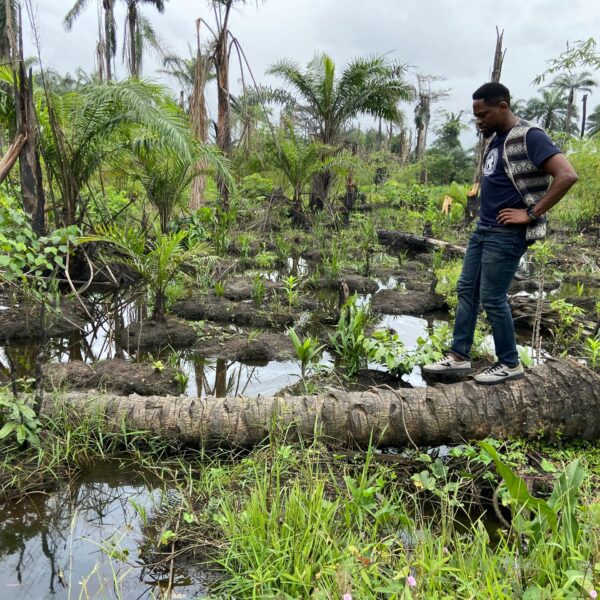 Nigeria’s Oiled Wound: Ecocide Demands Justice