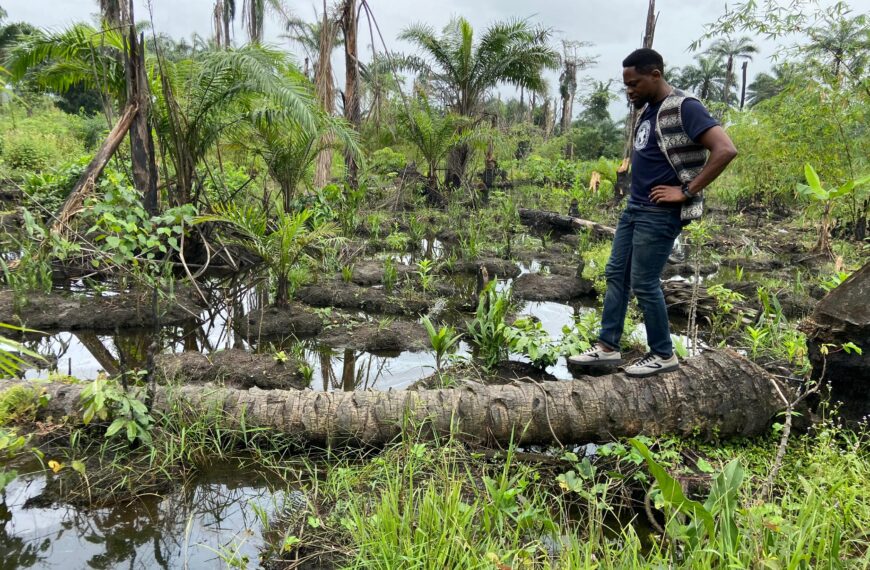 Nigeria’s Oiled Wound: Ecocide Demands Justice