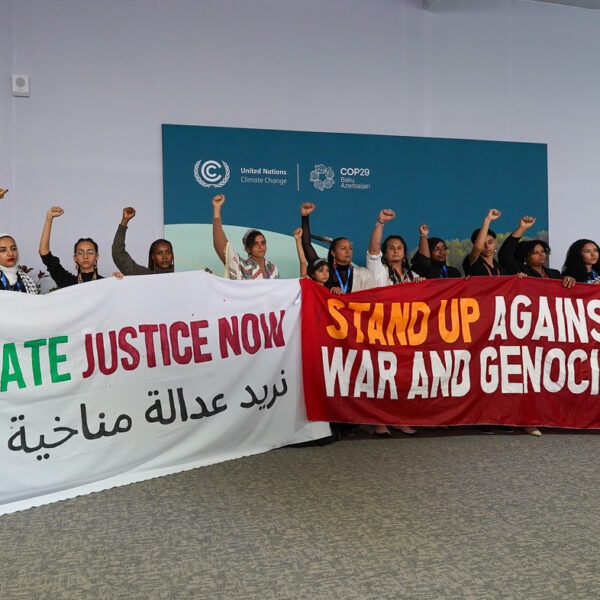 Greenwashing or Genuine Change? Azerbaijan’s Climate Ambitions at COP29