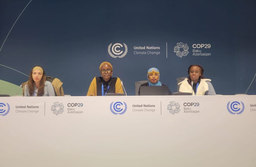 Africa at COP29: A Call for Self-Reliance and Innovation